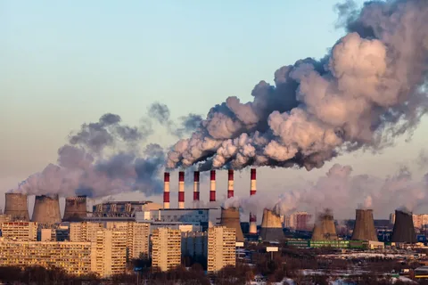 Pulmones verdes bajo ataque de contaminantes