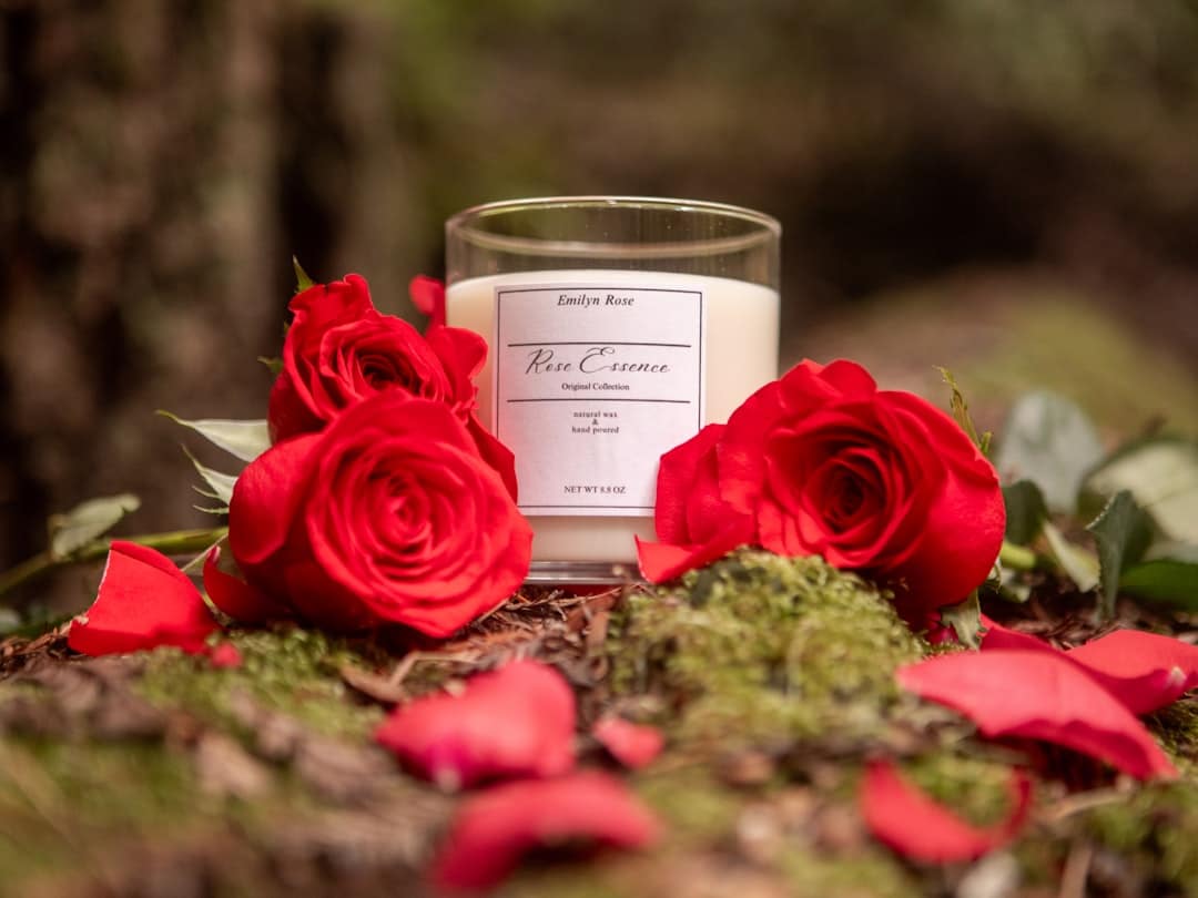Uma carta de amor para mães de anjo