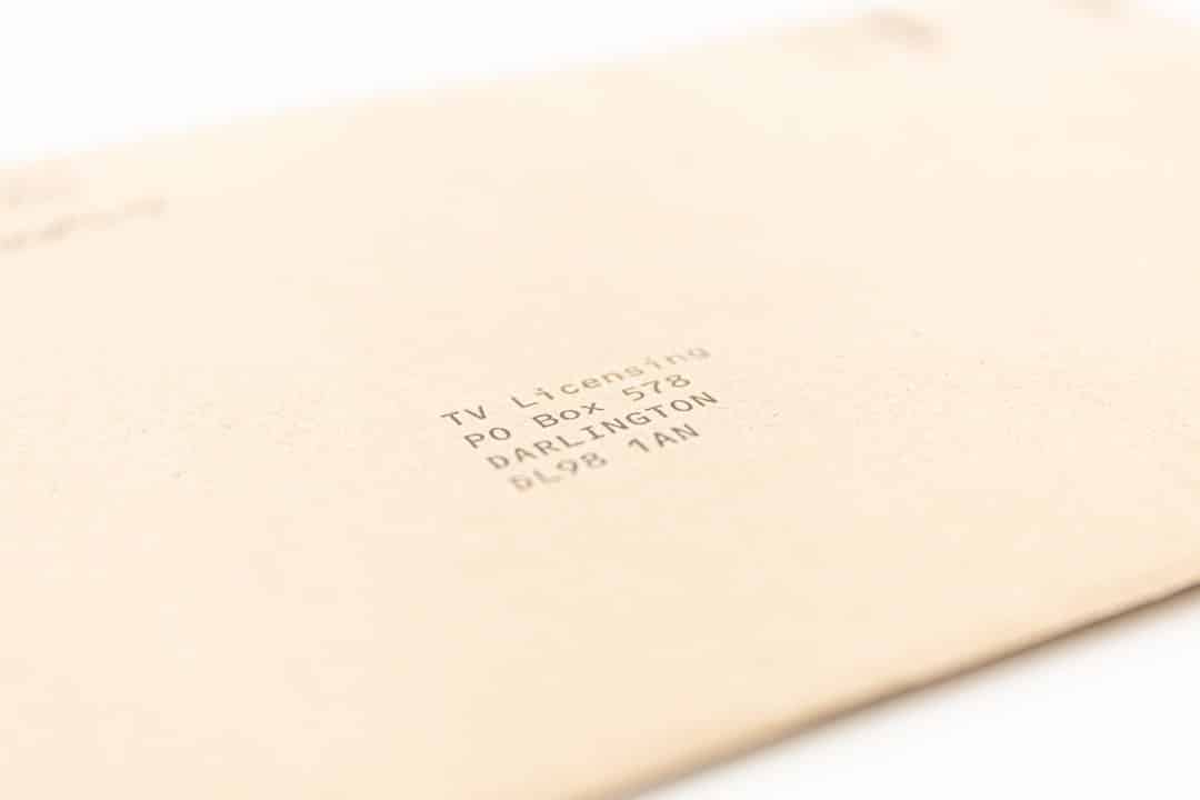 Uma carta do seu pet: amor em palavras